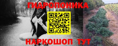 PSILOCYBIN Севастополь